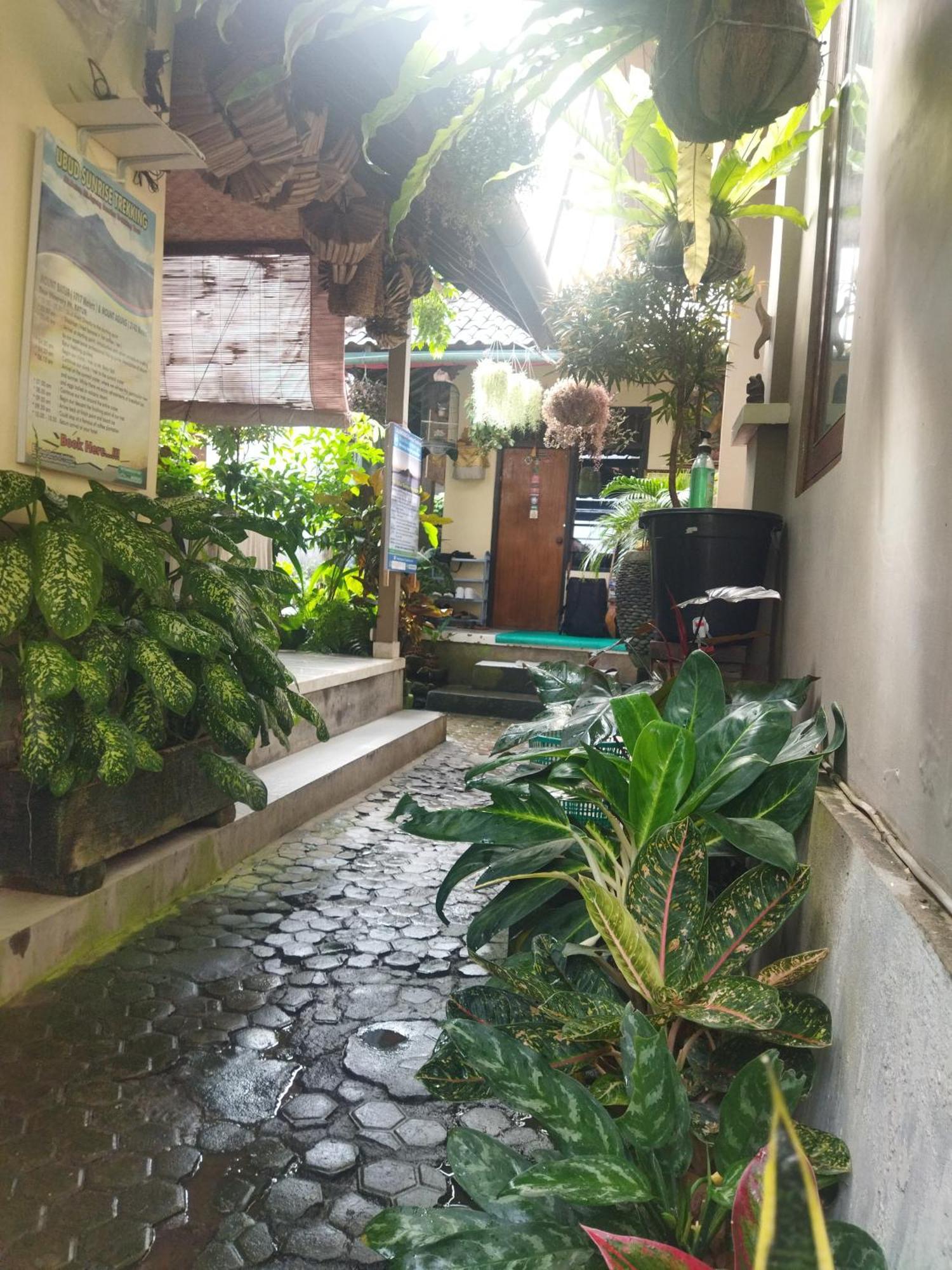 Wahwik'S House Hotel Ubud  Exterior photo